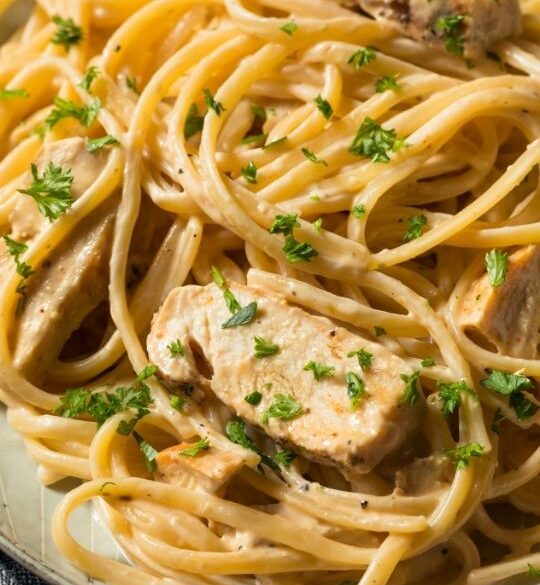 close up to creamy Chicken Alfredo dish